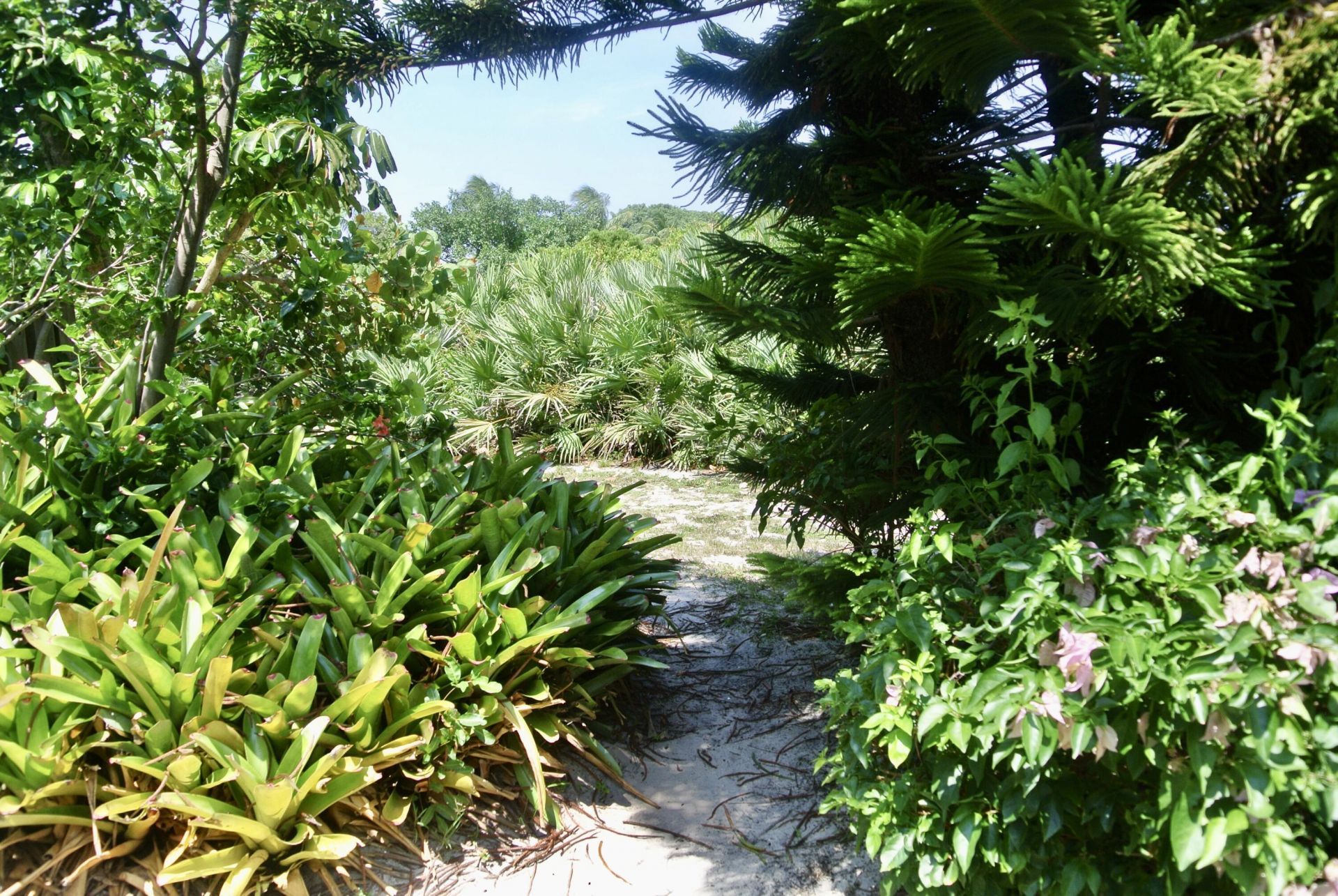 121 Ocean Cove Drive, Unit 121, Jupiter, FL 33477 Photo