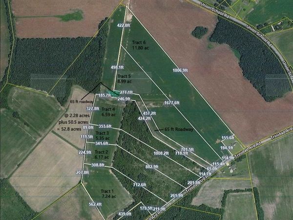 TBD Tract 5 Trinidad Ard Rd, Coward, SC 29530