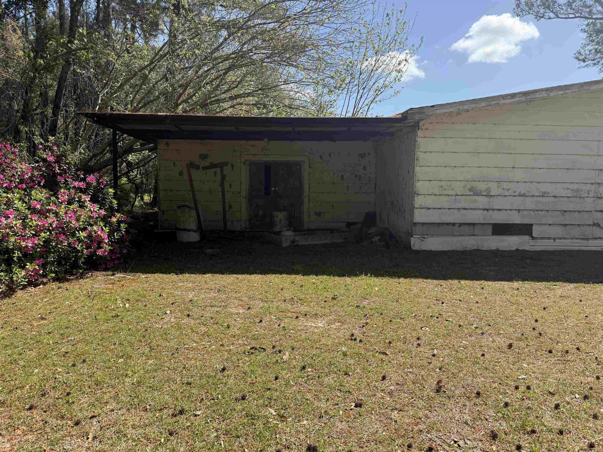 101 Morris Circle Photo 24