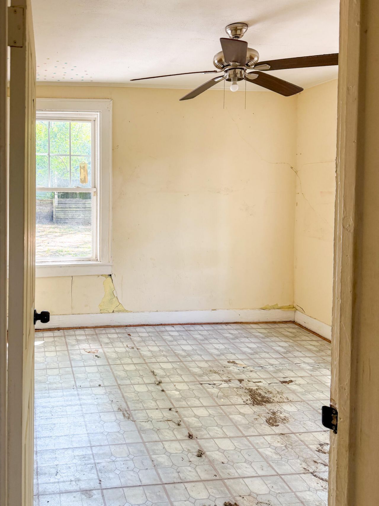 2659 Lawrence Street Photo 17