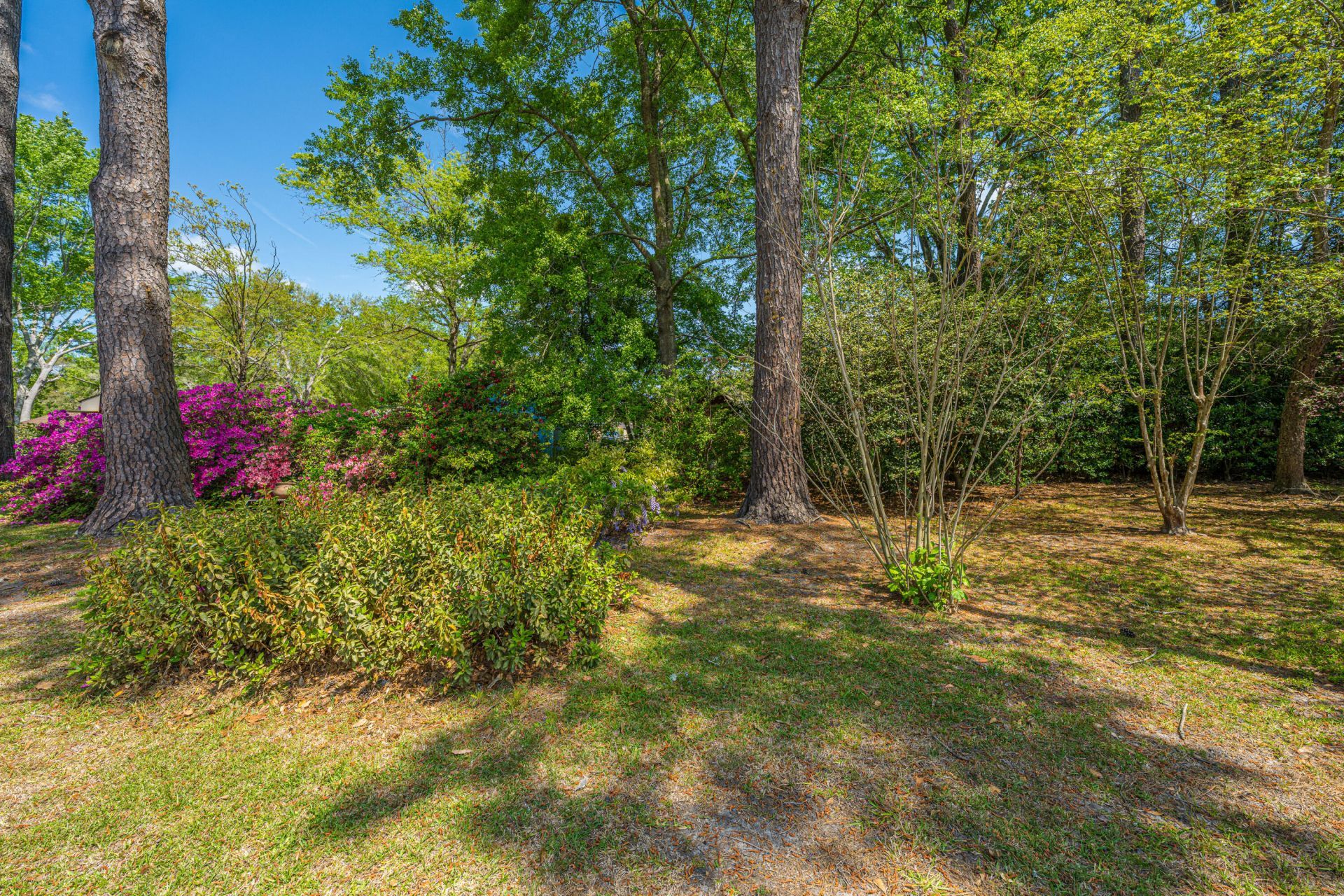 110 Two Wood Court Photo 8