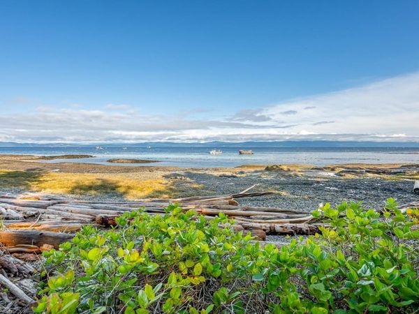 2450 Clamshell Pl, Hornby Island, BC V0R 1Z0