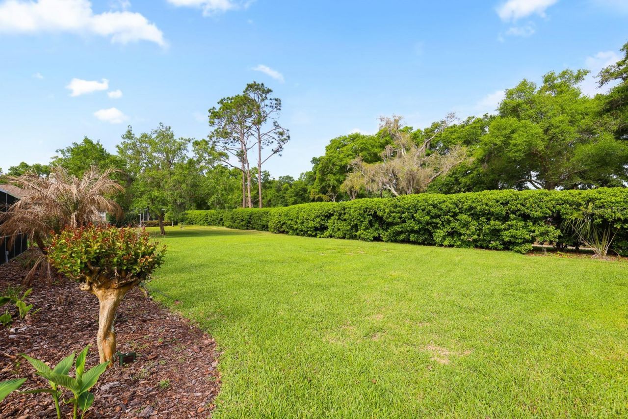 5208 Laurel Pointe Drive , Valrico, FL 33596 Photo