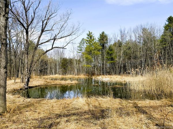 TBD Frank Hitchcock Road , Cairo, NY 12413