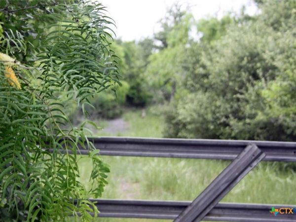 7887 Pettytown Road , Red Rock, TX 78662