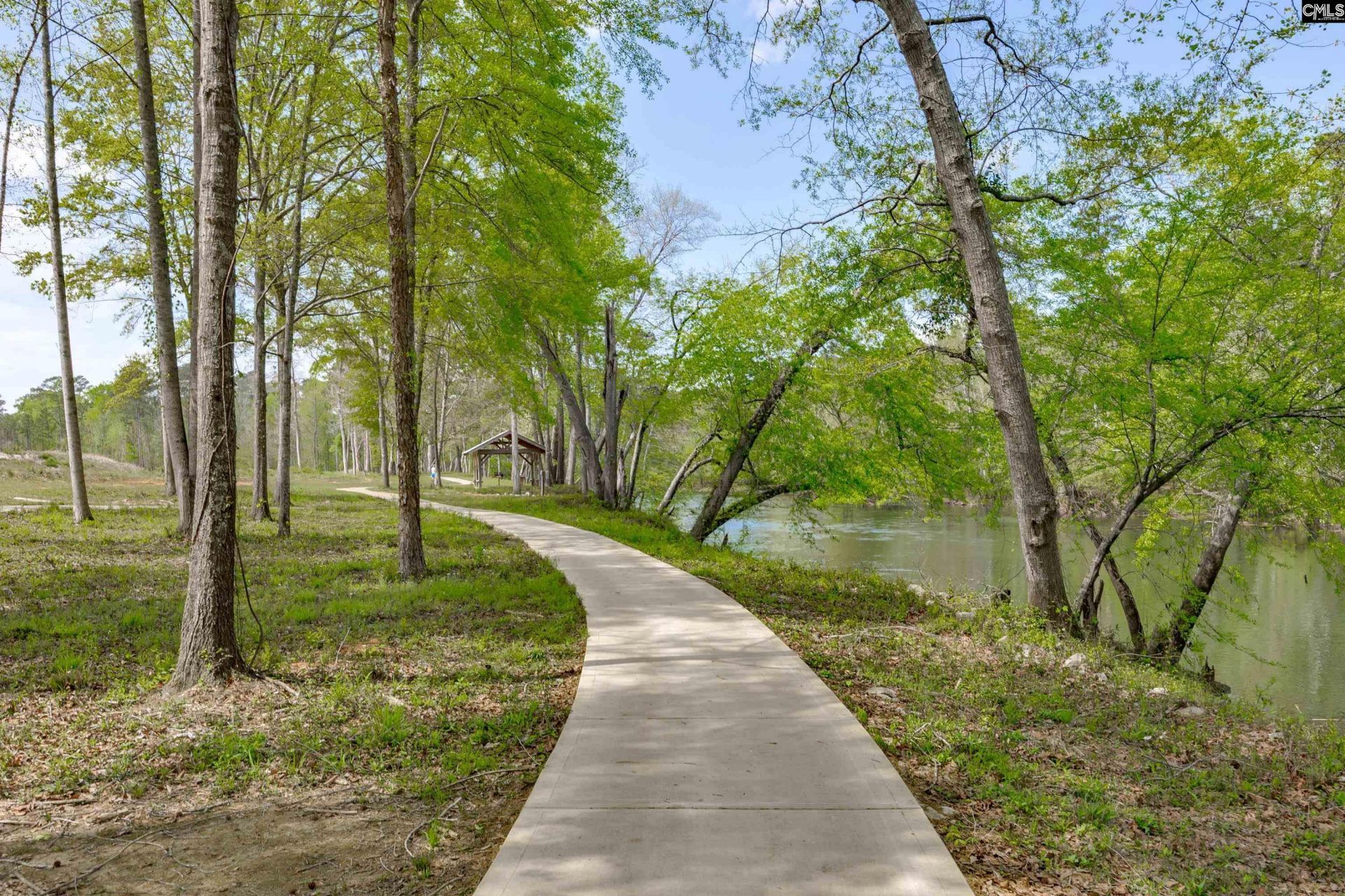 1067 Arbor Stroll Way Photo 62