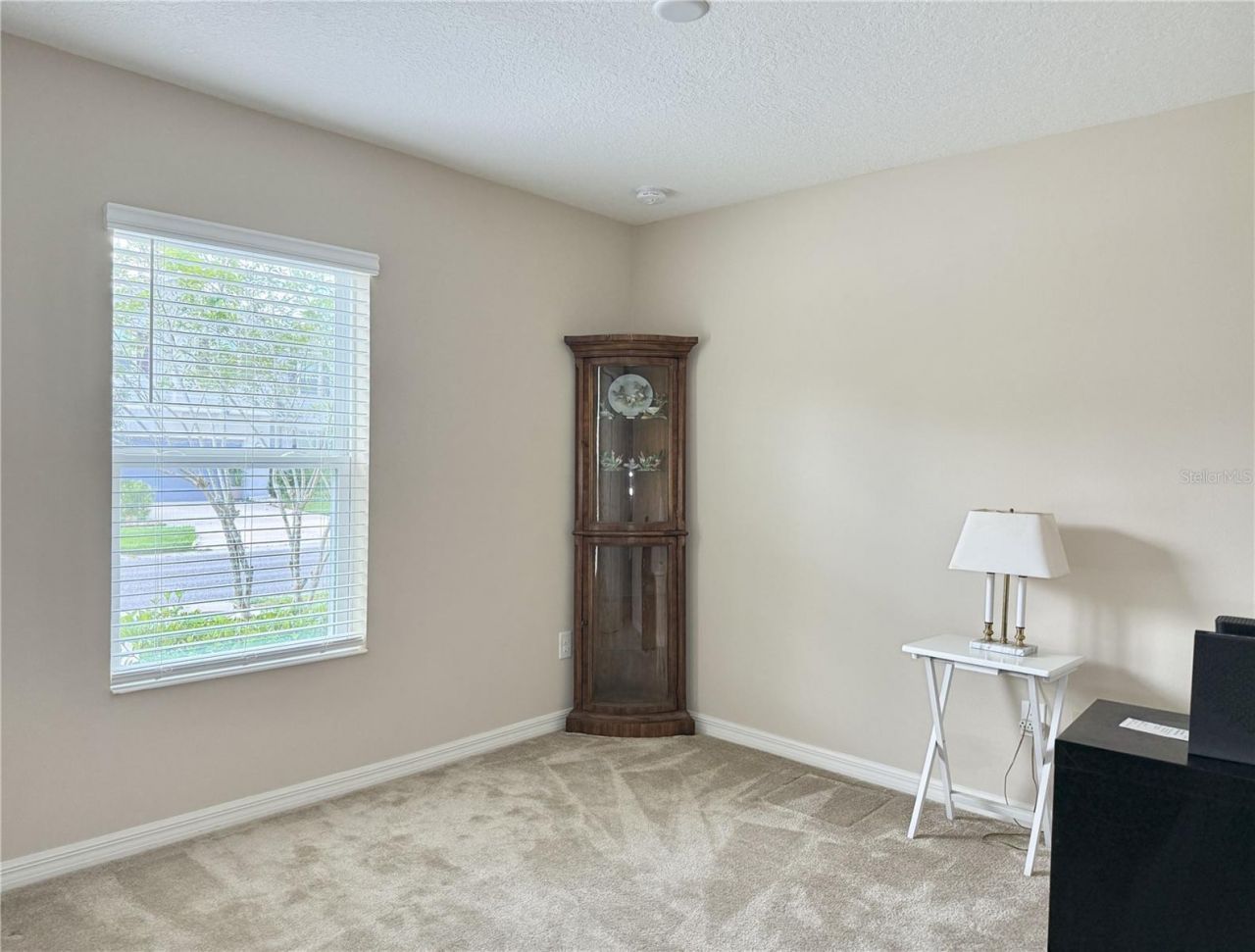 9242 Freedom Hill Dr, Seffner, FL 33584 Photo