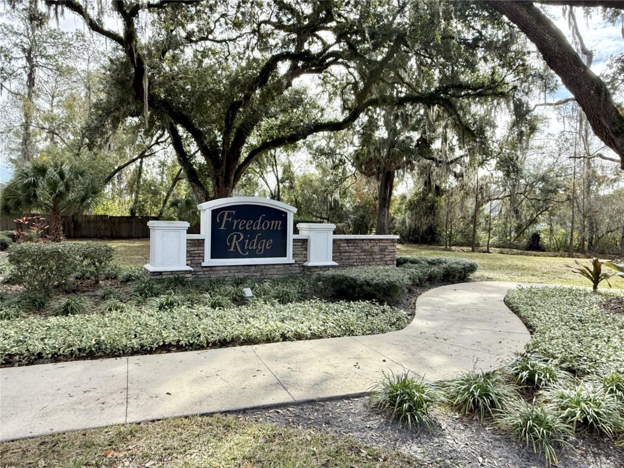 9242 Freedom Hill Dr, Seffner, FL 33584 Photo