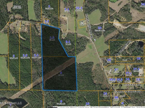 00 Rainey Road, Moselle, MS 39459