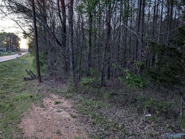 3.28 acres Main Drive, New Hope, AL 35760