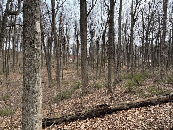 Lot 57,58 Woodland Drive, Lewisburg, WV 24901