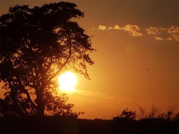 TBD FM 317 , Chandler, TX 75758