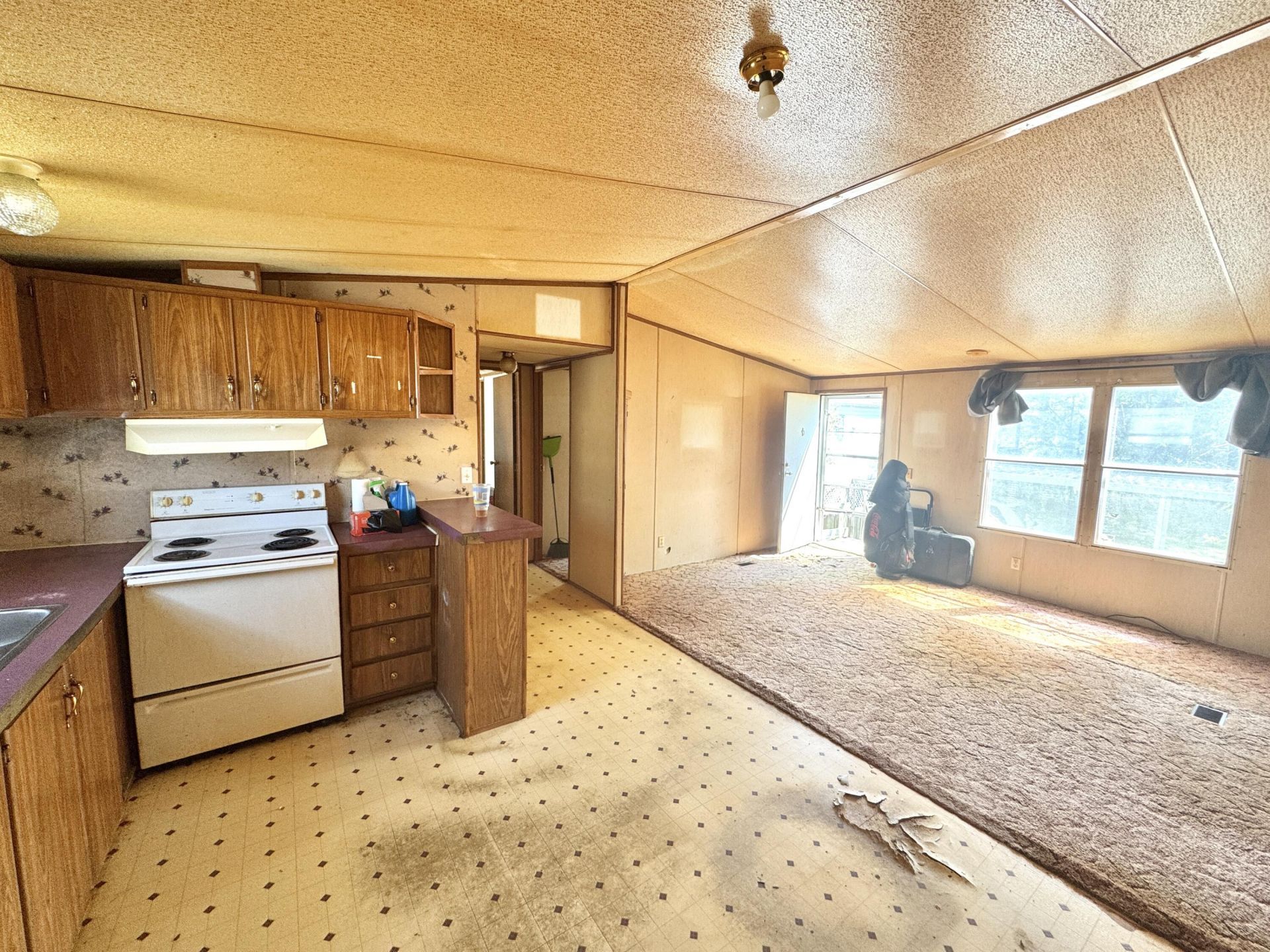 1667 Wading Heron Road Photo 6