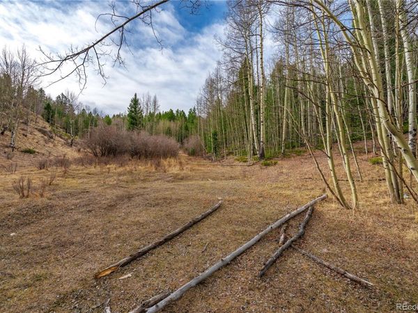 130 Grey Eagle Way , Cripple Creek, CO 80813