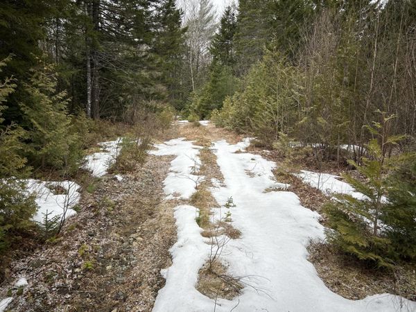 WA31P01L21 Kings Street , Dennysville, ME 04628