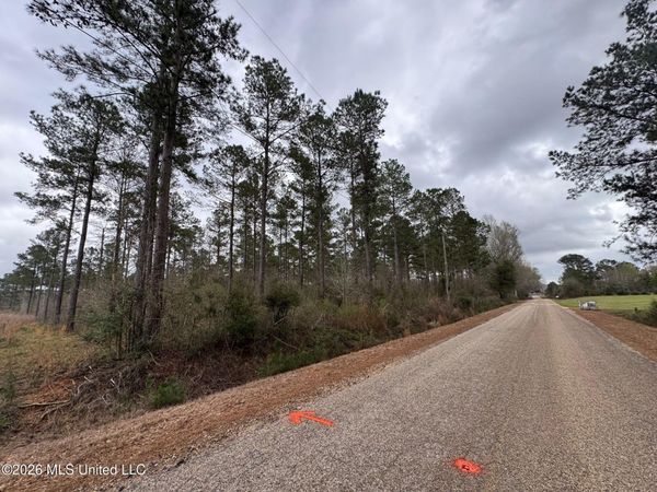 Lot 5 Dinan Salem Road, Tylertown, MS 39667
