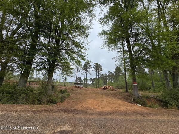 Lot 6 Dinan Salem Road, Tylertown, MS 39667