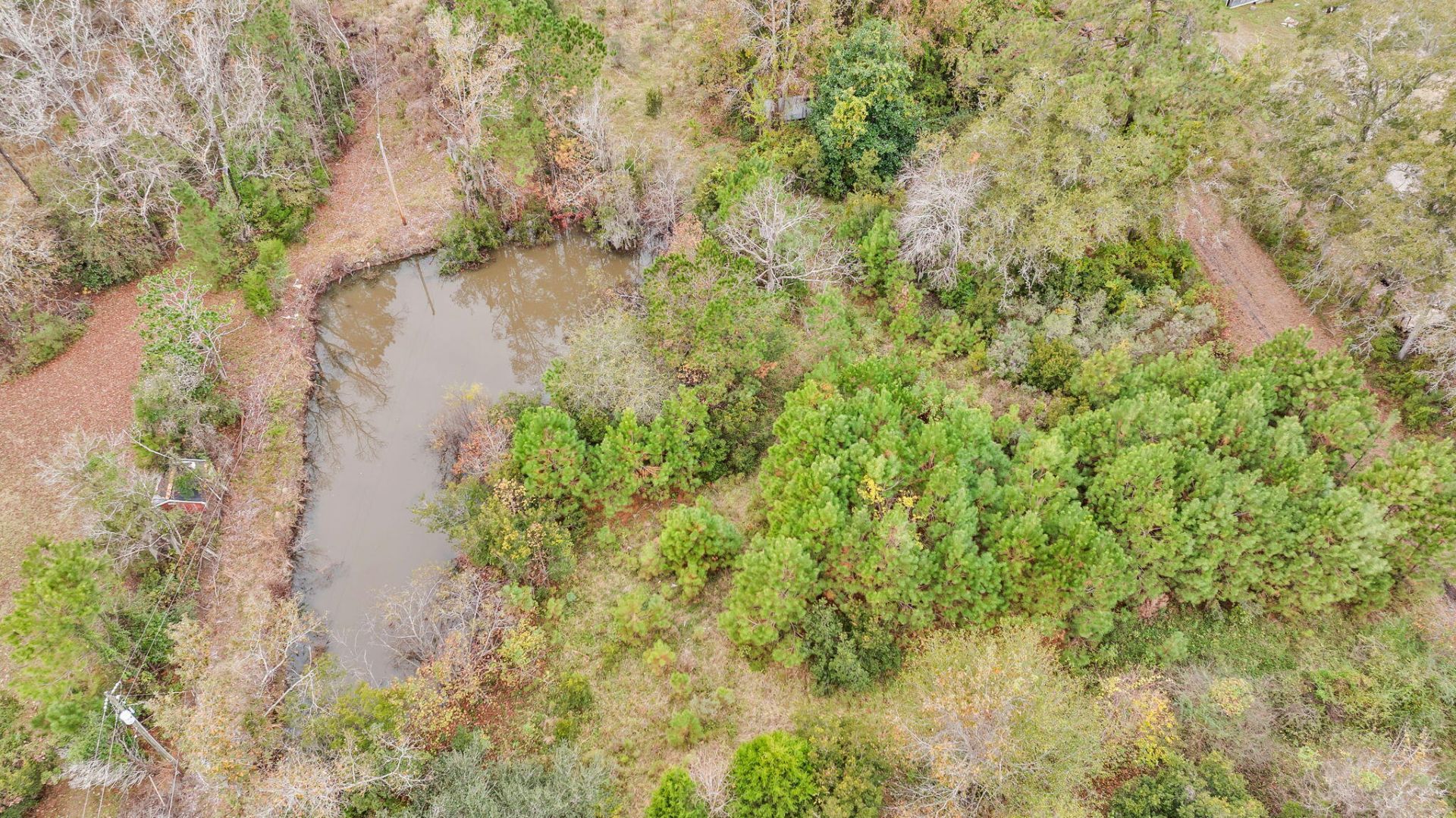 672 Main Road  Photo 28