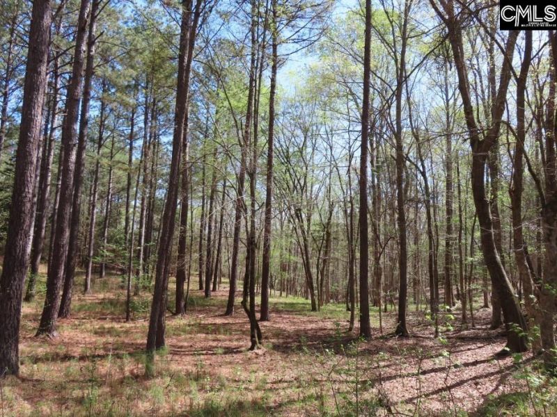 269 N Cable Road  Photo 15