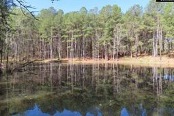 269 N Cable Road photo 4