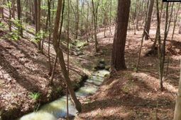 269 N Cable Road  photo 4