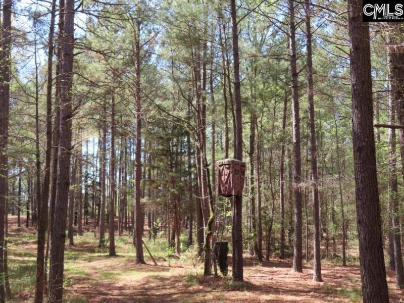 269 N Cable Road  Photo 53