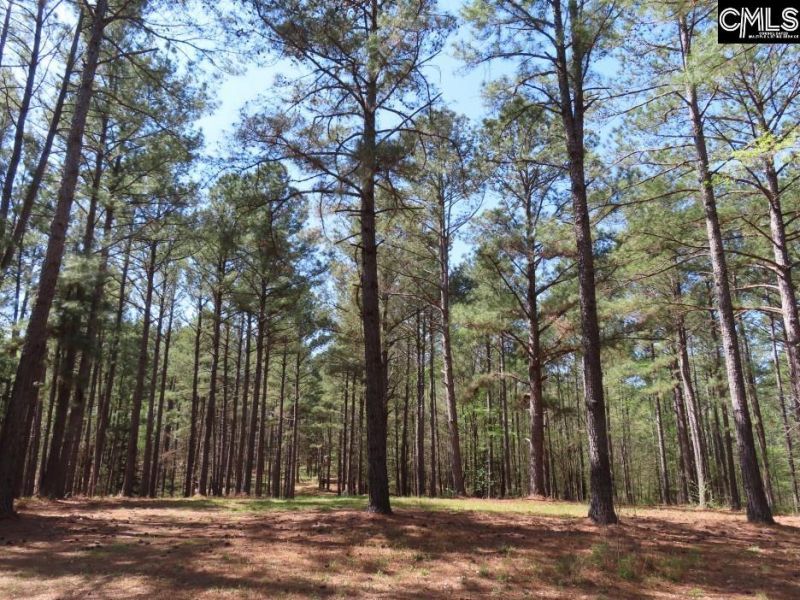 269 N Cable Road  Photo 7