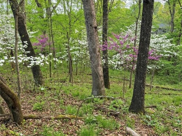 Lot 16 Bedlington Lane , Bella Vista, AR 72714