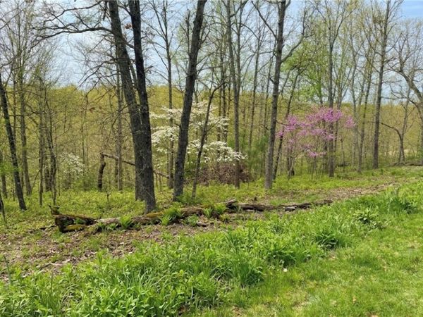 Lot 3 Halladale Lane , Bella Vista, AR 72715