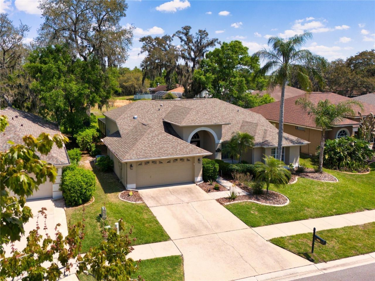 8435 Basuto Drive, Trinity, FL 34655 Photo