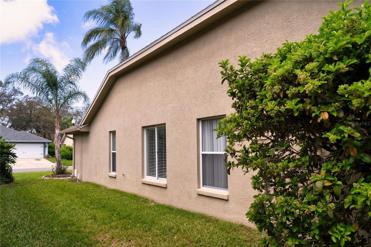 8435 Basuto Drive, Trinity, FL 34655 Photo