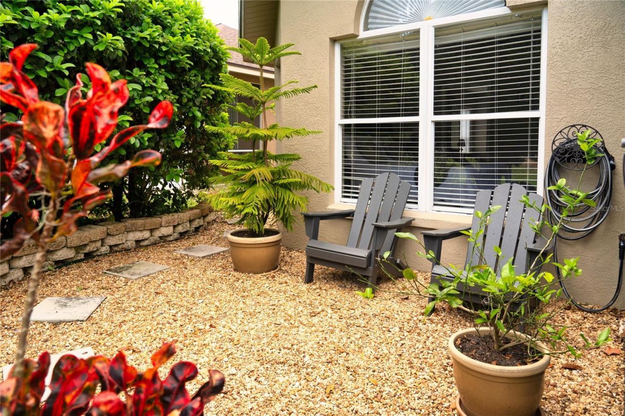 8435 Basuto Drive, Trinity, FL 34655 Photo