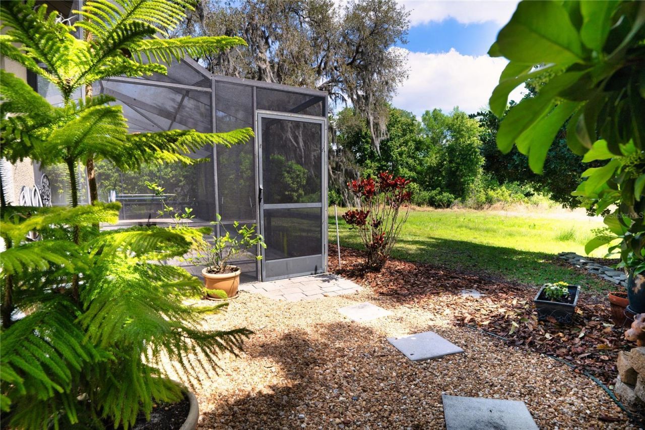 8435 Basuto Drive, Trinity, FL 34655 Photo