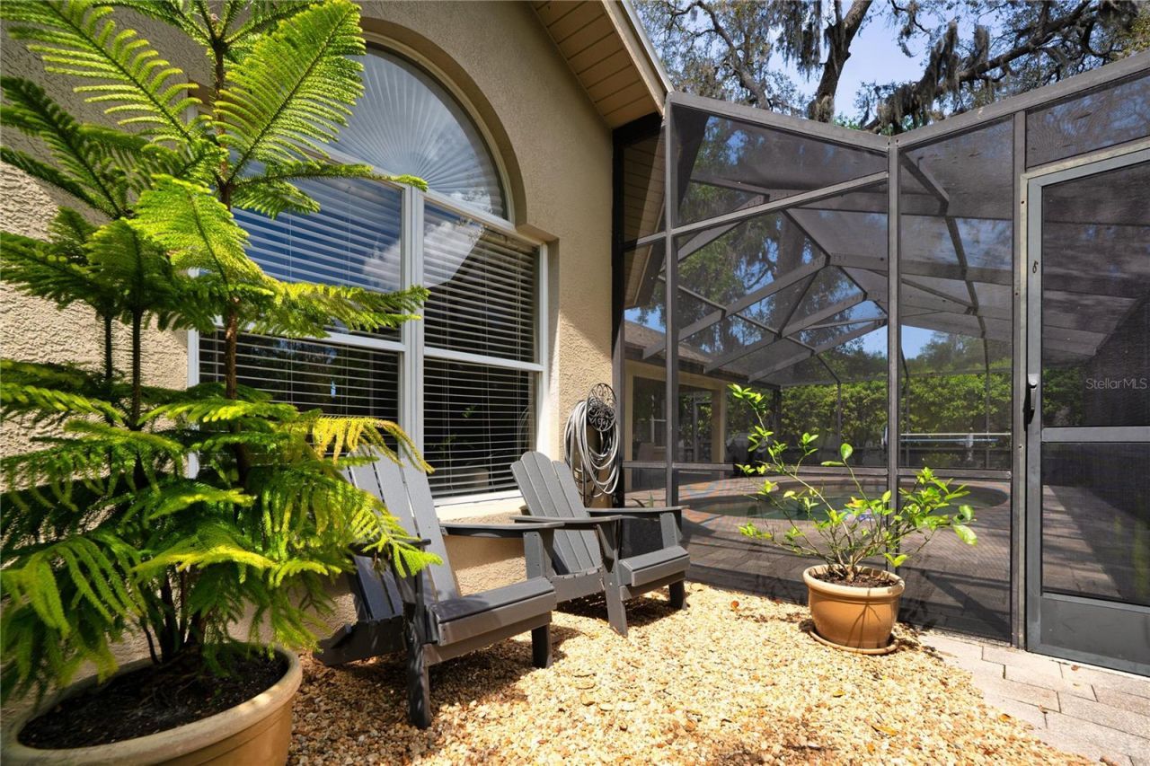 8435 Basuto Drive, Trinity, FL 34655 Photo