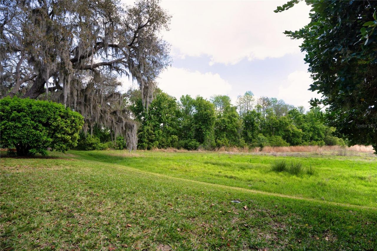 8435 Basuto Drive, Trinity, FL 34655 Photo