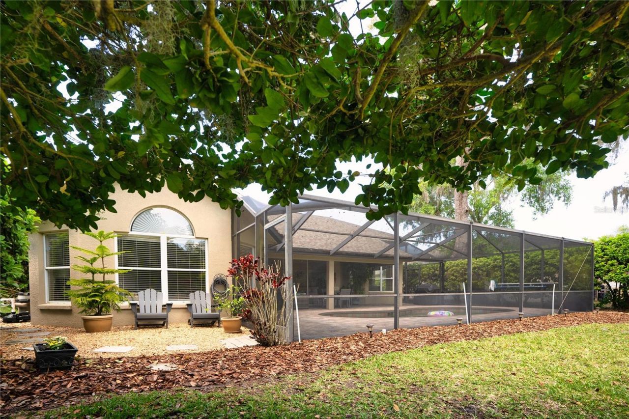 8435 Basuto Drive, Trinity, FL 34655 Photo