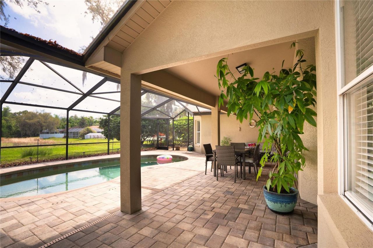 8435 Basuto Drive, Trinity, FL 34655 Photo