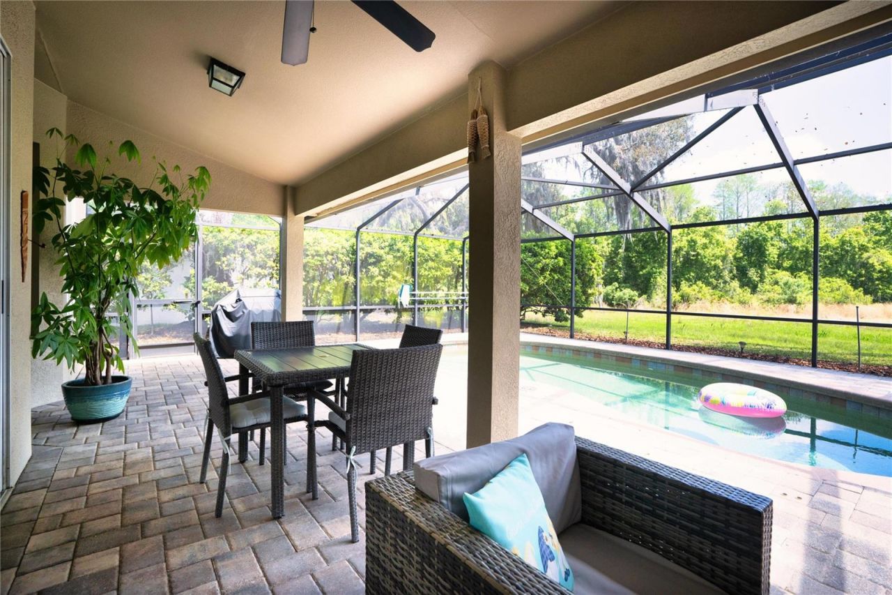 8435 Basuto Drive, Trinity, FL 34655 Photo