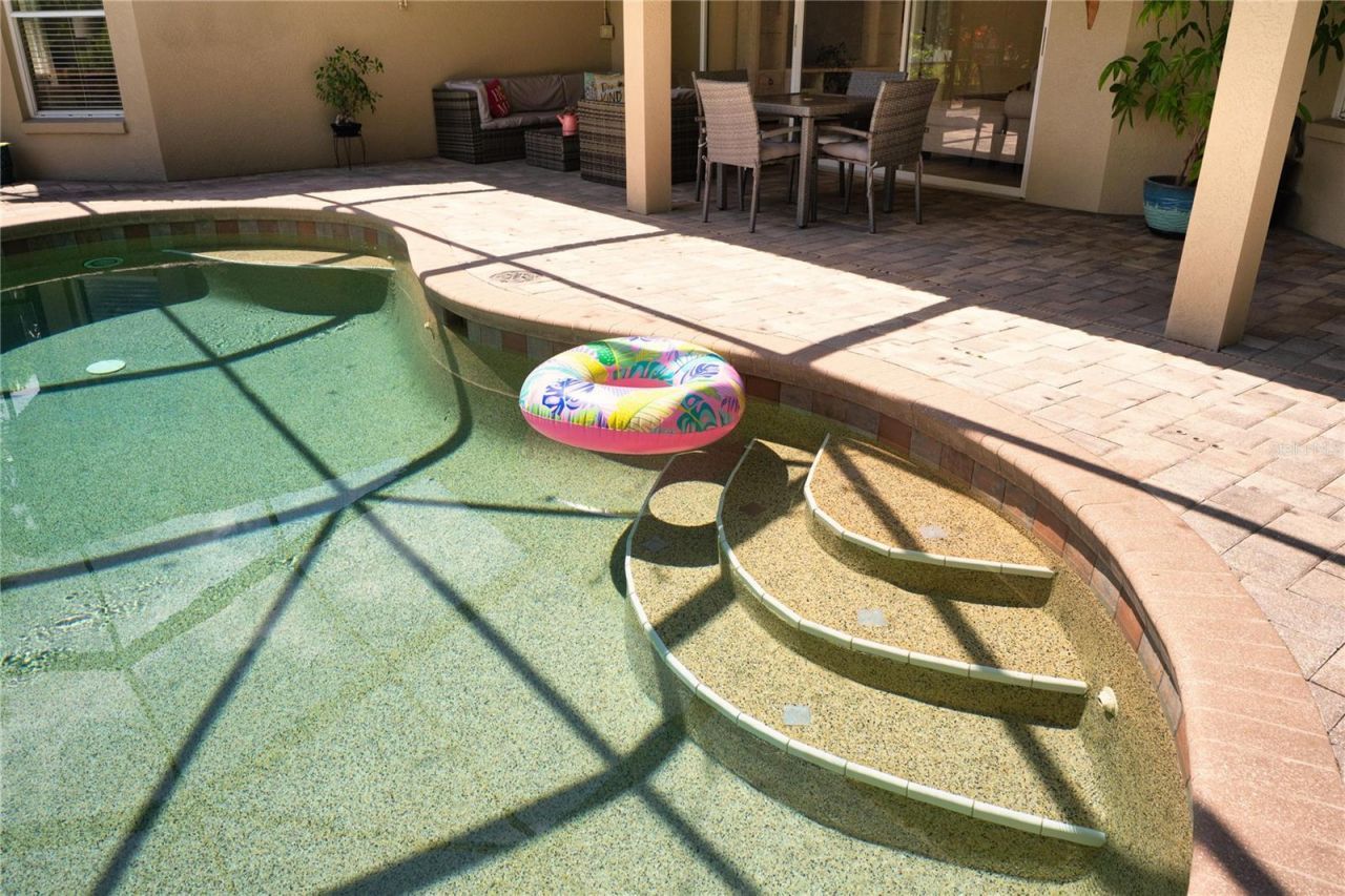 8435 Basuto Drive, Trinity, FL 34655 Photo