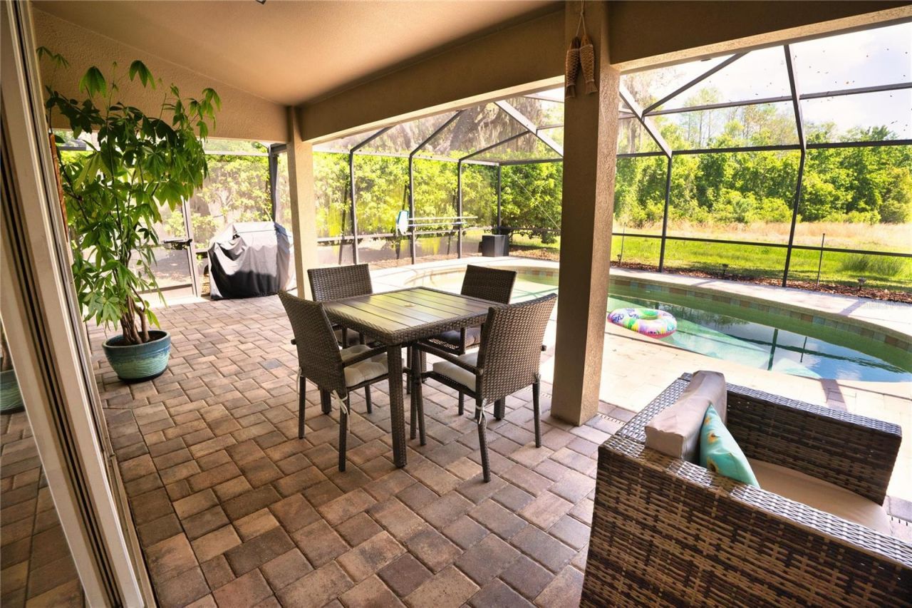 8435 Basuto Drive, Trinity, FL 34655 Photo