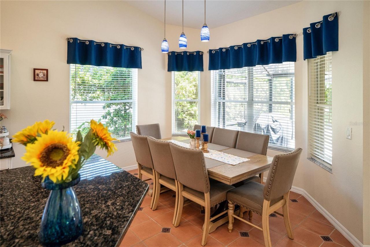 8435 Basuto Drive, Trinity, FL 34655 Photo