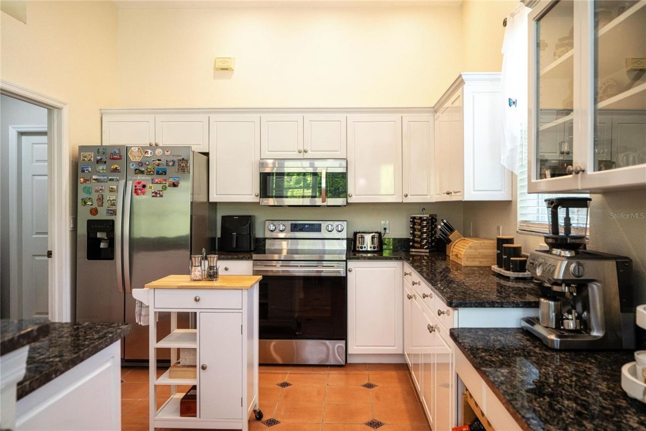 8435 Basuto Drive, Trinity, FL 34655 Photo