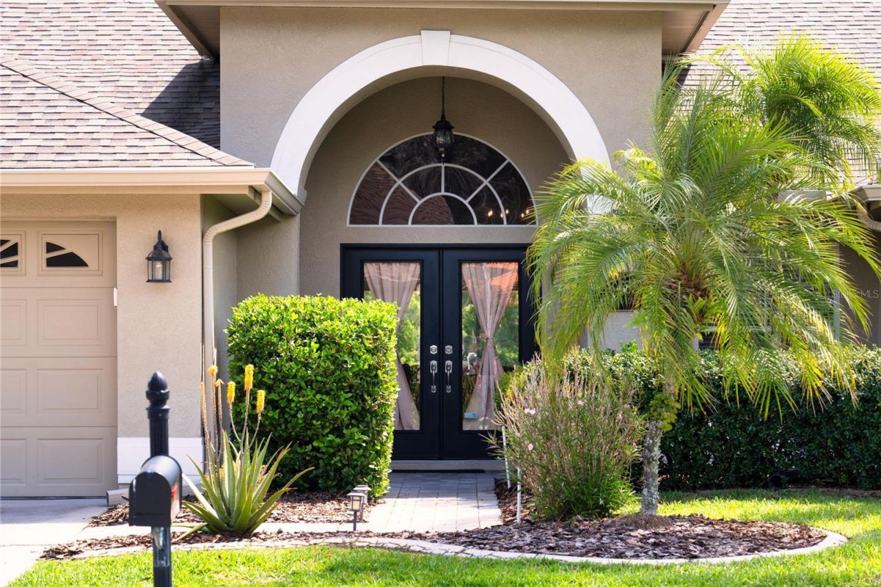 8435 Basuto Drive, Trinity, FL 34655 Photo