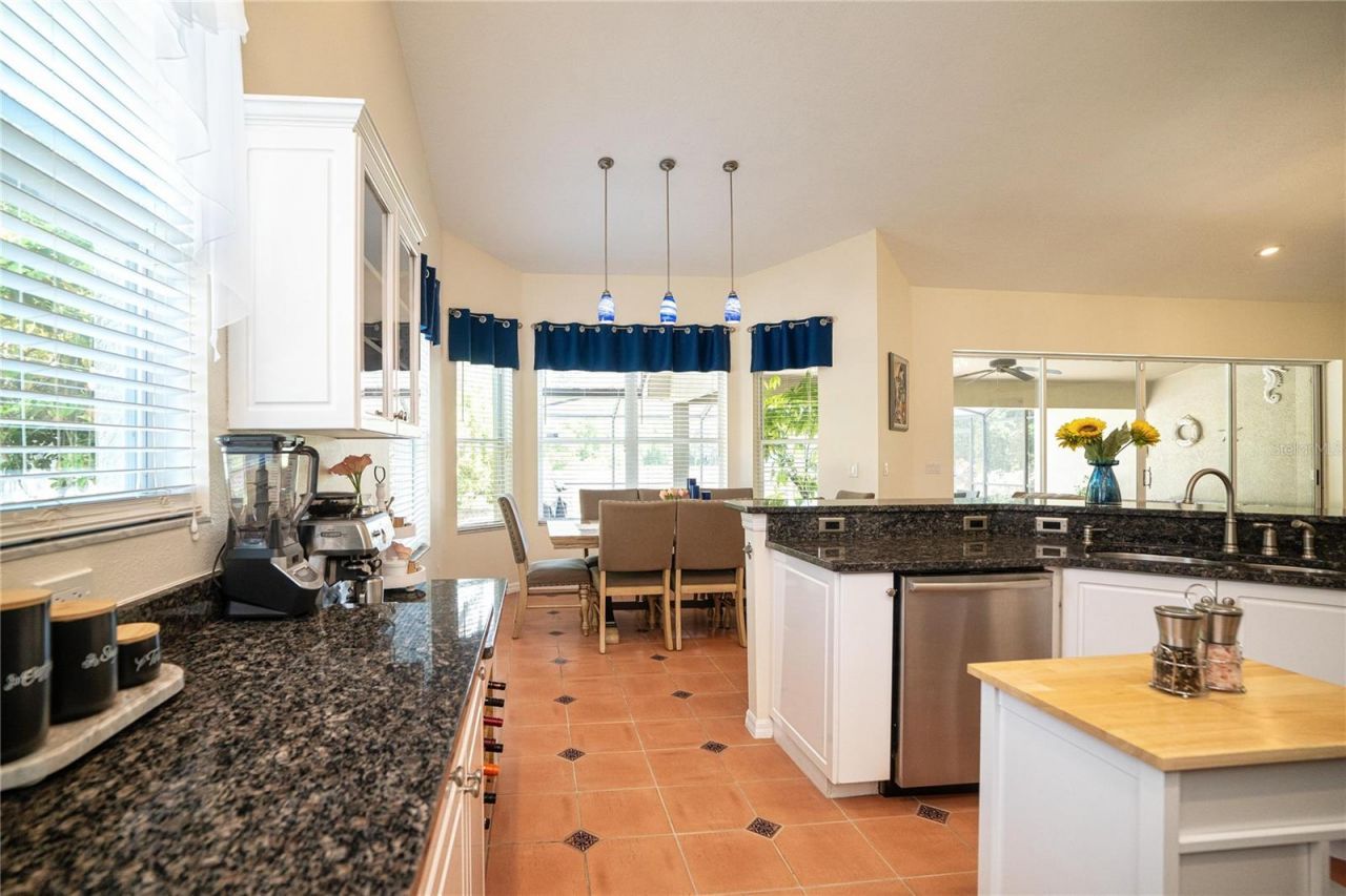 8435 Basuto Drive, Trinity, FL 34655 Photo