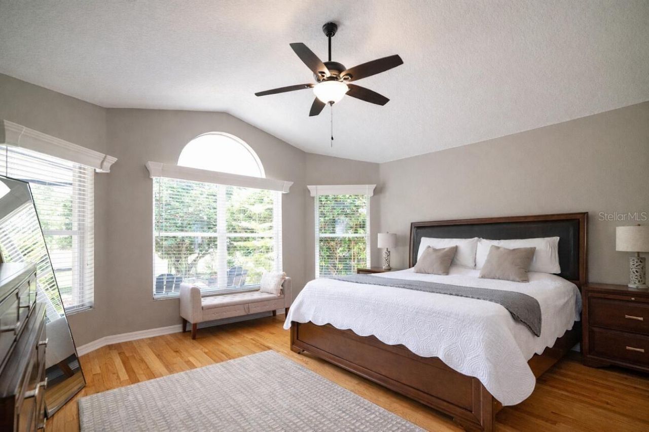 8435 Basuto Drive, Trinity, FL 34655 Photo