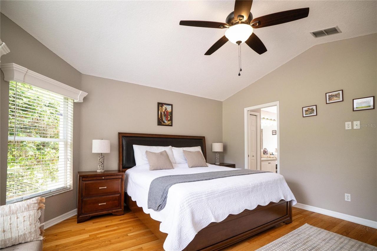 8435 Basuto Drive, Trinity, FL 34655 Photo