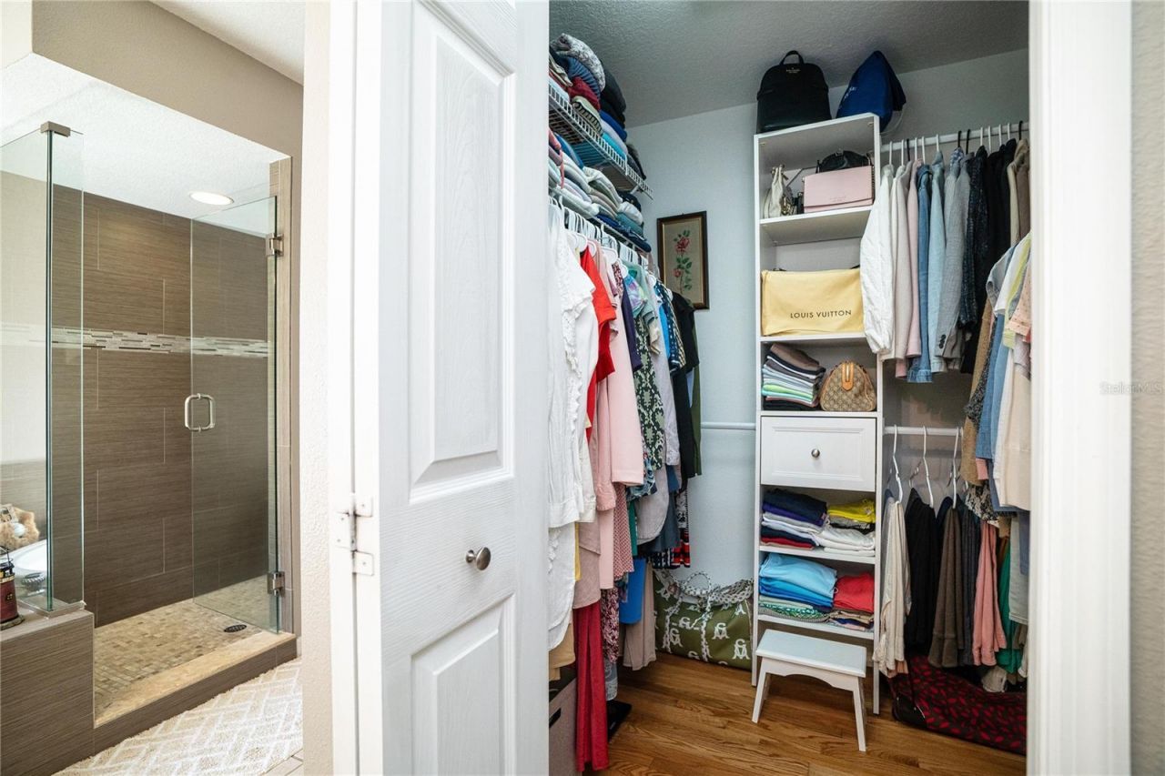 8435 Basuto Drive, Trinity, FL 34655 Photo