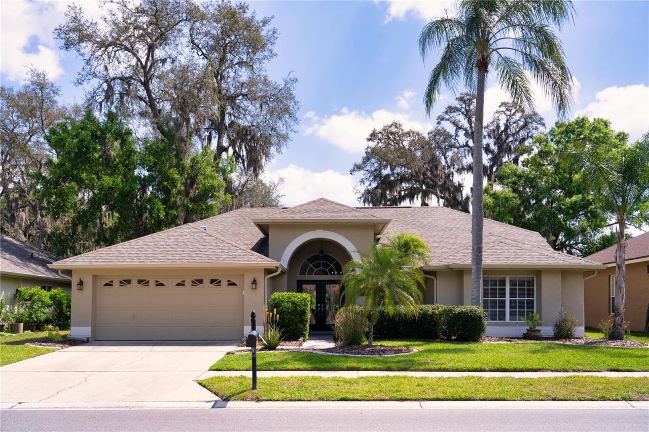 8435 Basuto Drive, Trinity, FL 34655 Photo