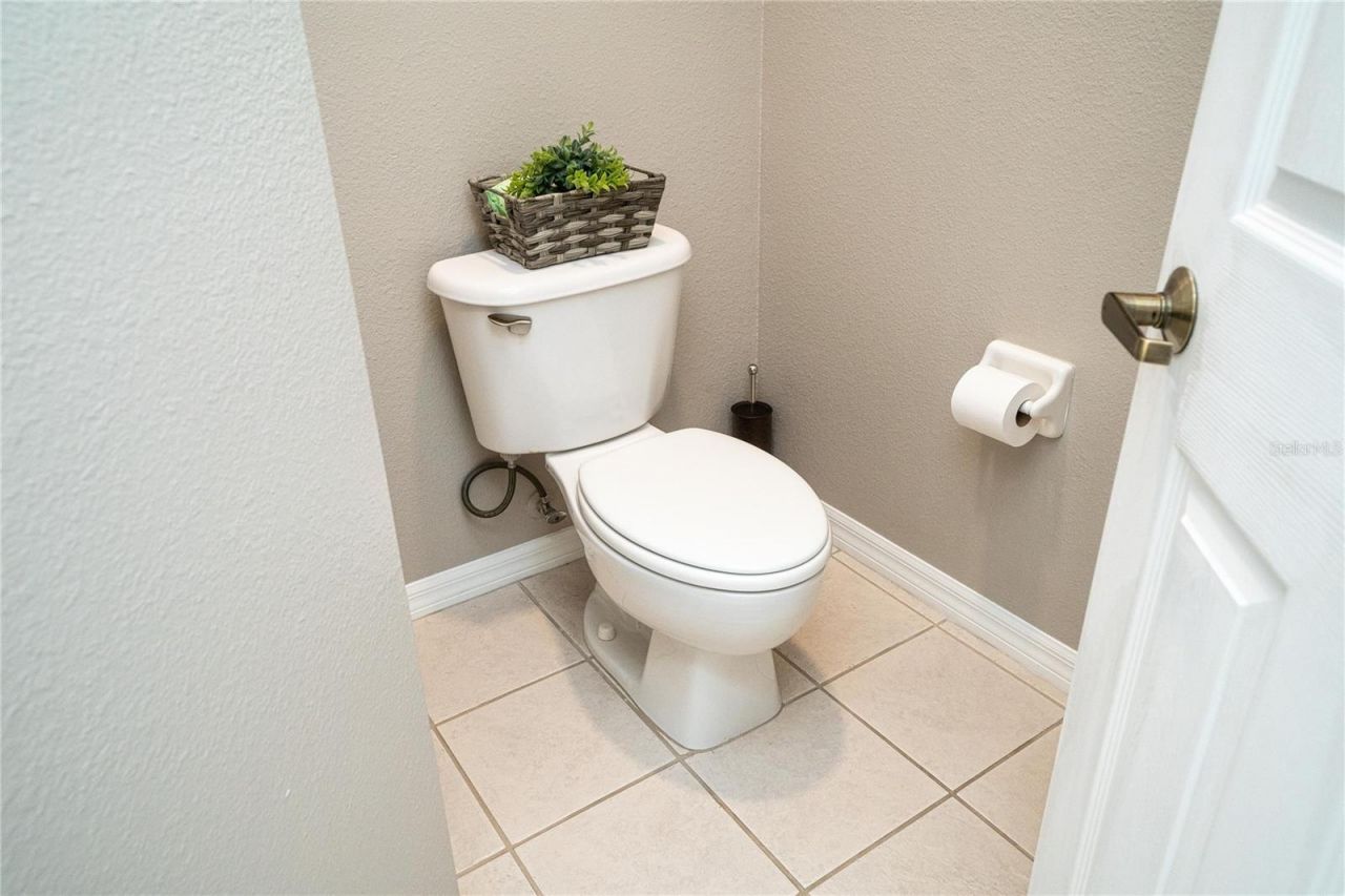 8435 Basuto Drive, Trinity, FL 34655 Photo