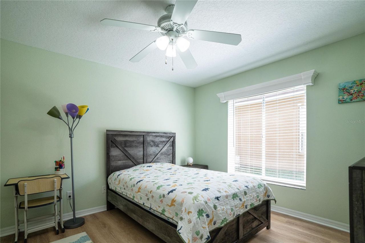 8435 Basuto Drive, Trinity, FL 34655 Photo